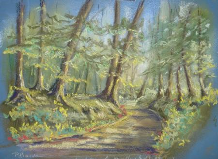 chemin en foret de HEZ